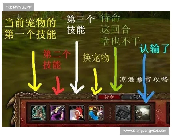 魔兽世界宝宝技能：巧妙放置技能栏