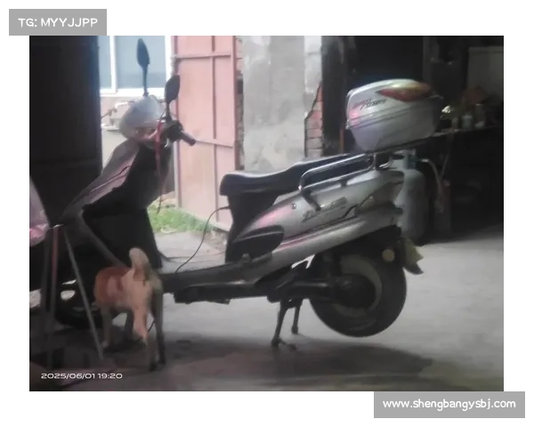 魔兽世界手机版：骑行为主，畅享坐骑之旅